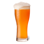 juicy janes new englang neipa allgrain brewolution 401026